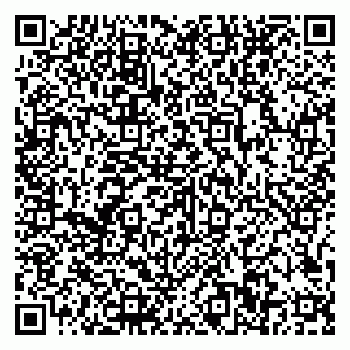 vCard 79807500209