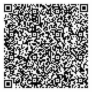 vCard 79807500211