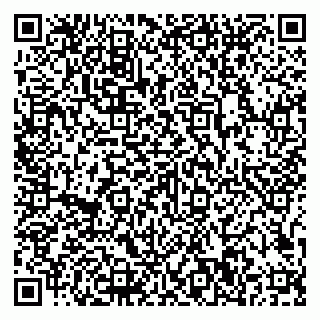 vCard 79807500213