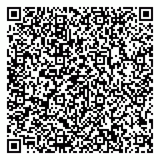 vCard 79807500217