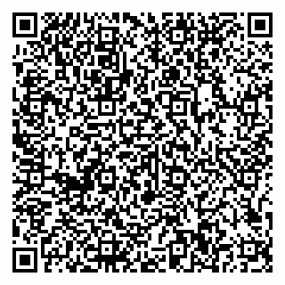 vCard 79807500231