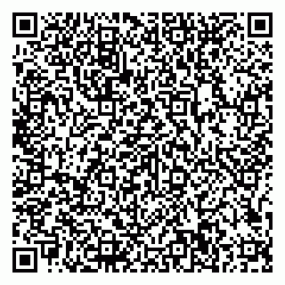 vCard 79807500235