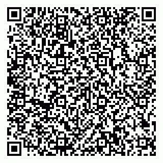 vCard 79807500267