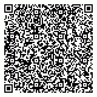 vCard 79807500288