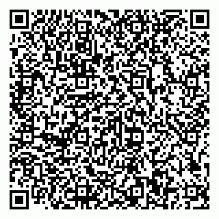 vCard 79807500289