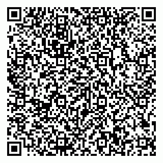 vCard 79807500291