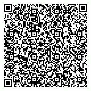 vCard 79807500295