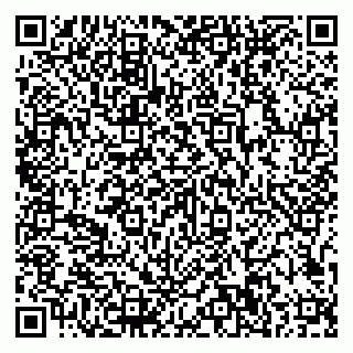 vCard 79807500297
