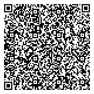 vCard 79807500324