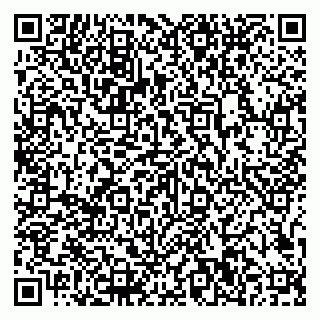 vCard 79807500333