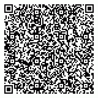 vCard 79807500374
