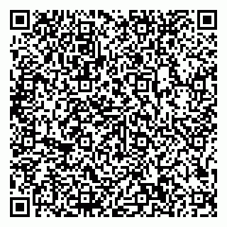 vCard 79807500376