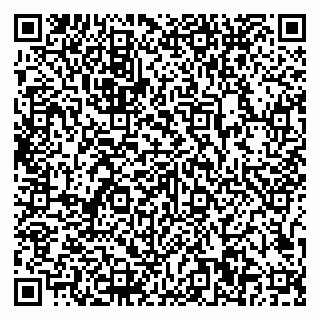 vCard 79807500379