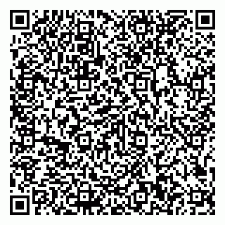 vCard 79807500380