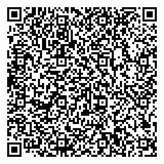 vCard 79807500383