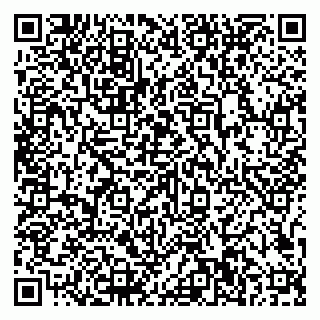 vCard 79807500385