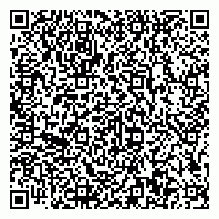 vCard 79807500388