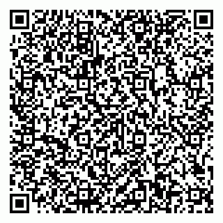 vCard 79807500389