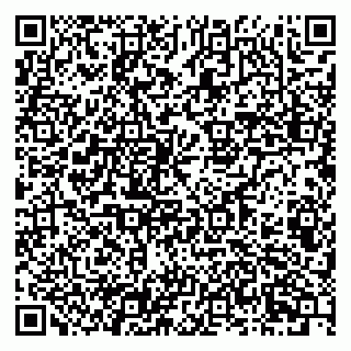 vCard 79807700001