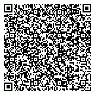 vCard 79807700131