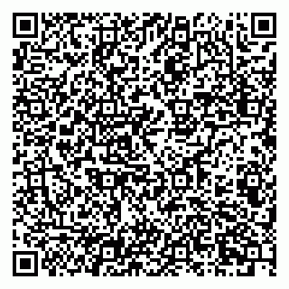 vCard 79807700137