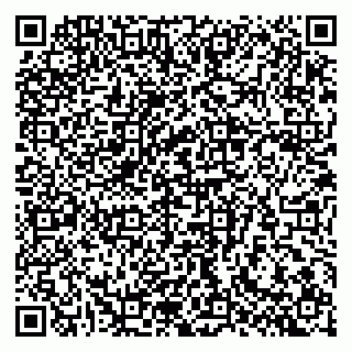 vCard 79807700163