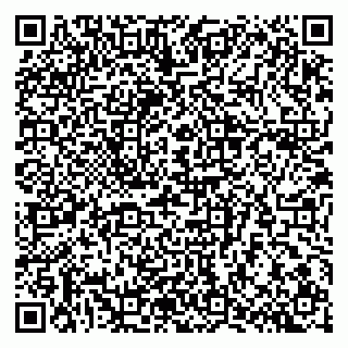 vCard 79807700199