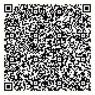 vCard 79807700207
