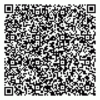 vCard 79807700208
