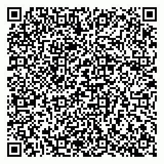 vCard 79807700209