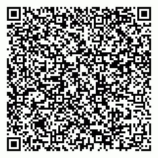 vCard 79807700221