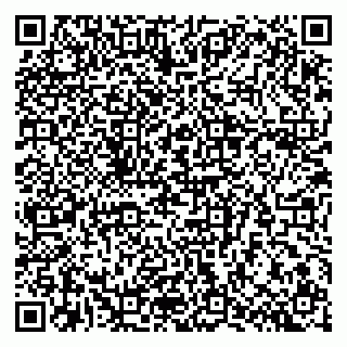 vCard 79807700294