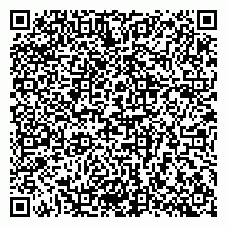 vCard 79807700331