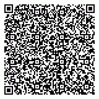 vCard 79807700381