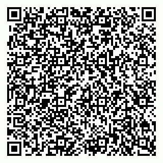 vCard 79807747313