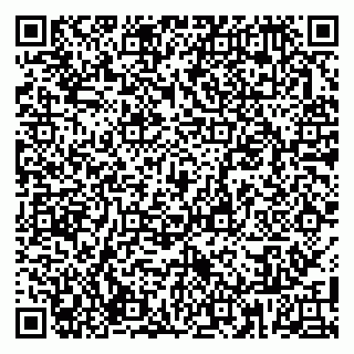 vCard 79807800138
