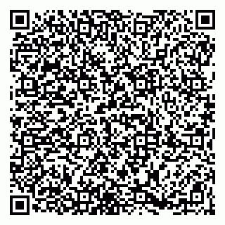vCard 79807800272