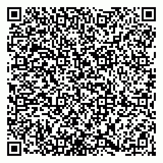 vCard 79807800381