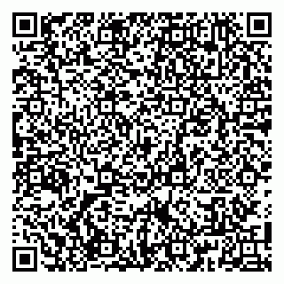vCard 79807800384