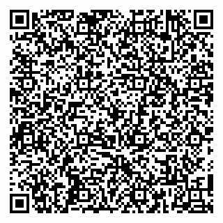 vCard 79808001313