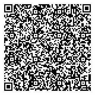 vCard 79808001333