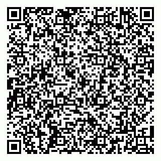 vCard 79808002003