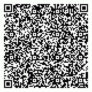 vCard 79808002029