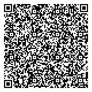 vCard 79808002095