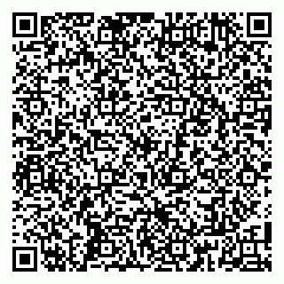vCard 79808002701