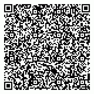 vCard 79808002704