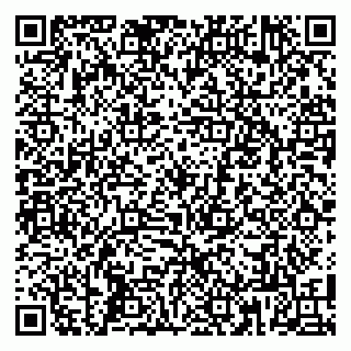 vCard 79808002733
