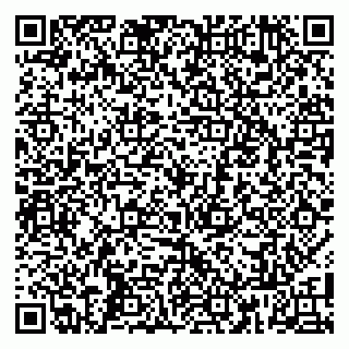 vCard 79808002811