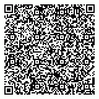 vCard 79808002871