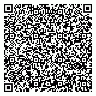 vCard 79808002913